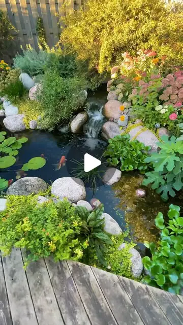 garden pond ideas
