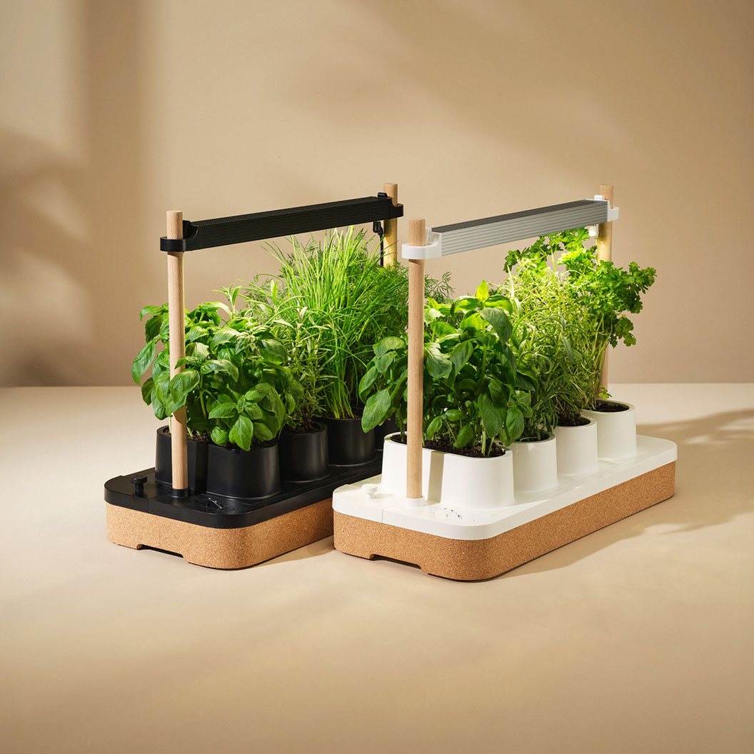 herb garden ideas