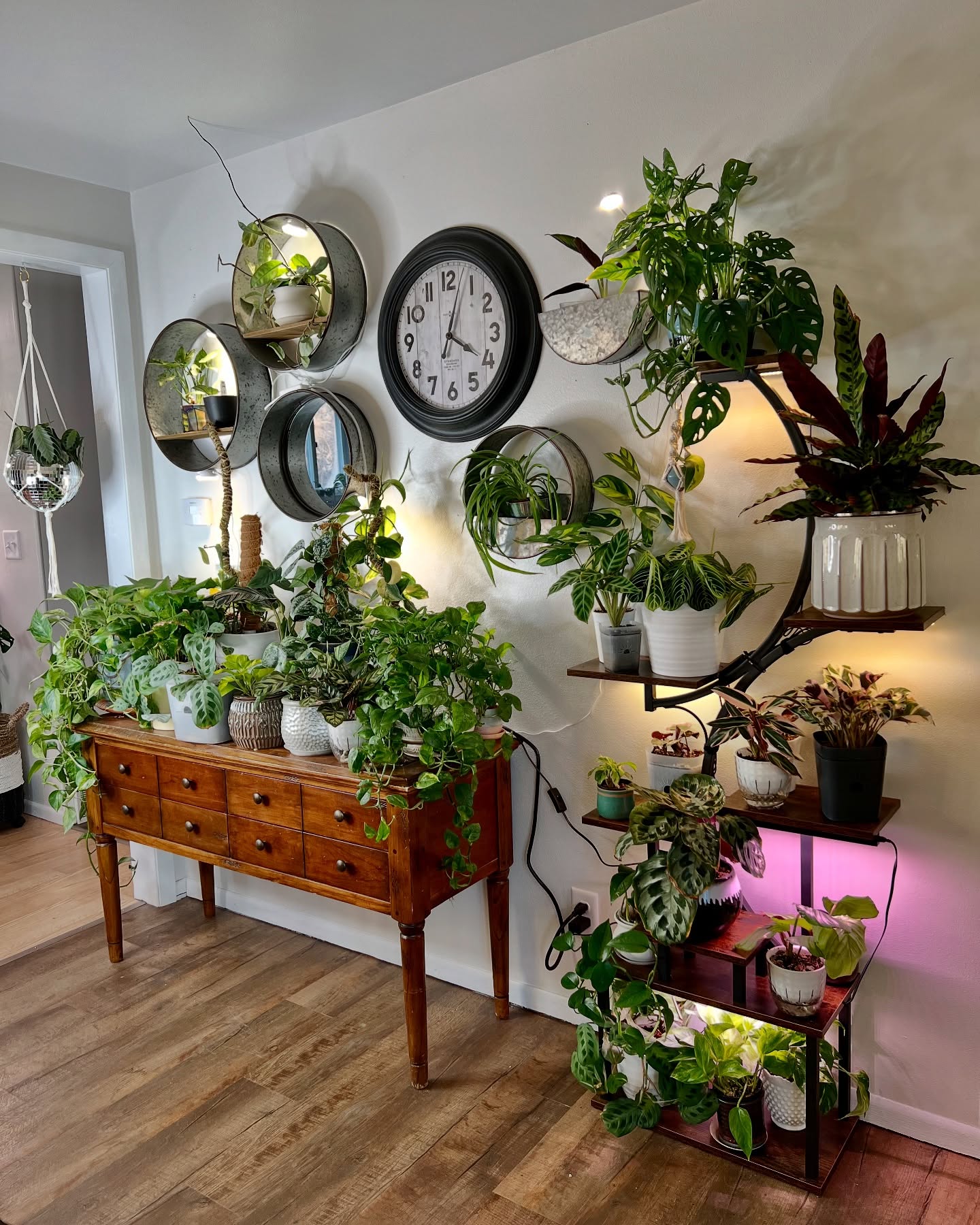 dining room plant decor