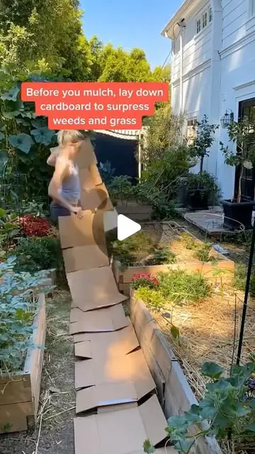 diy garden pathways