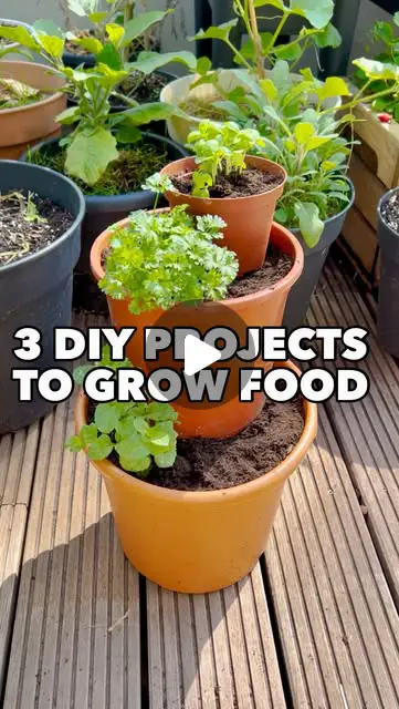 small space gardening