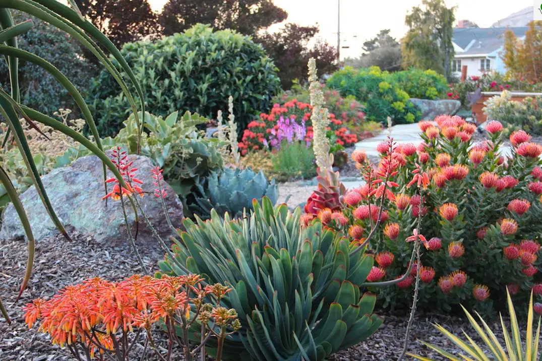 18 Drought Tolerant Garden Ideas With 18 Gorgeous Images For A Stylish Low-Water Yard 6 drought tolerant garden ideas