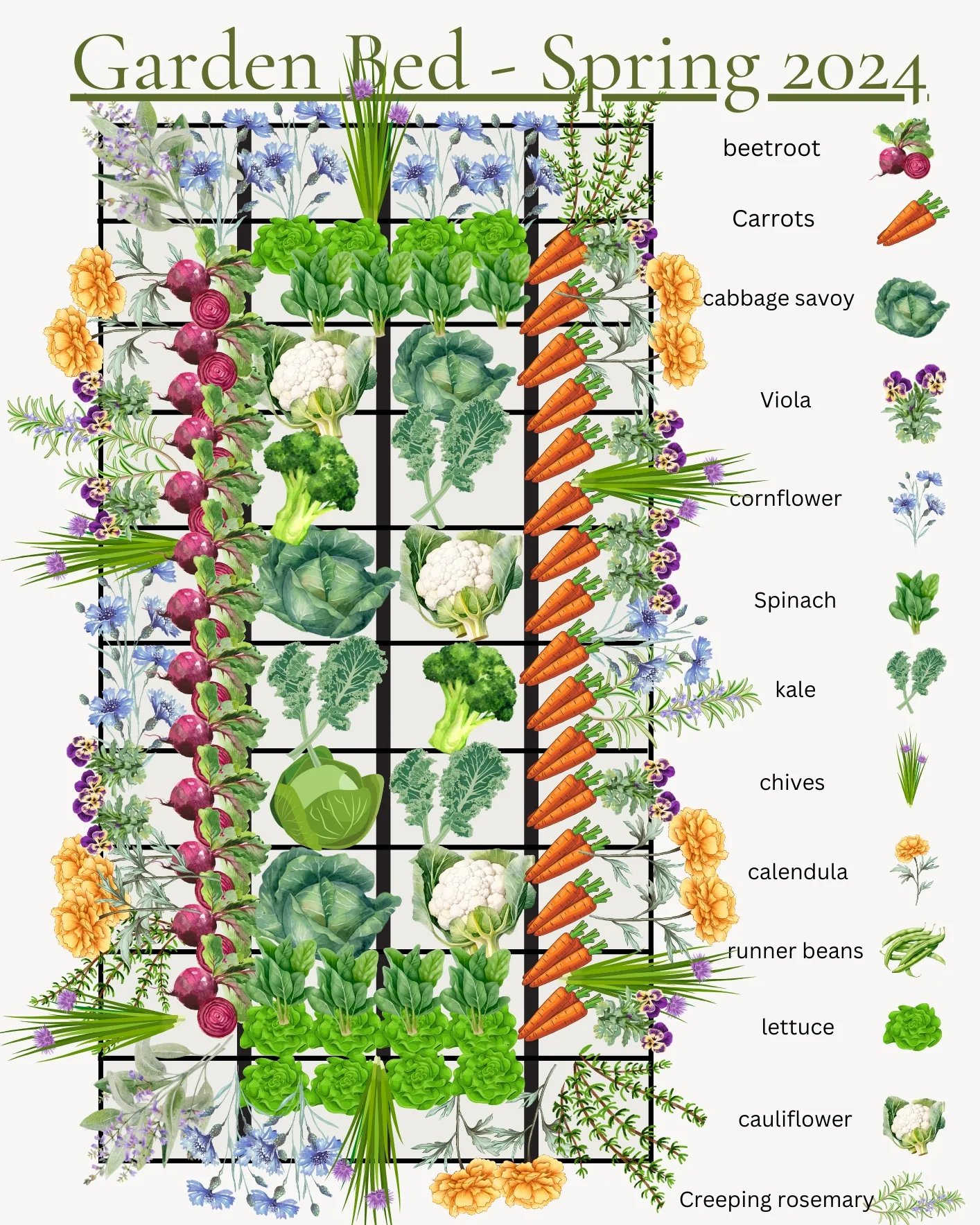 vegetable garden layout