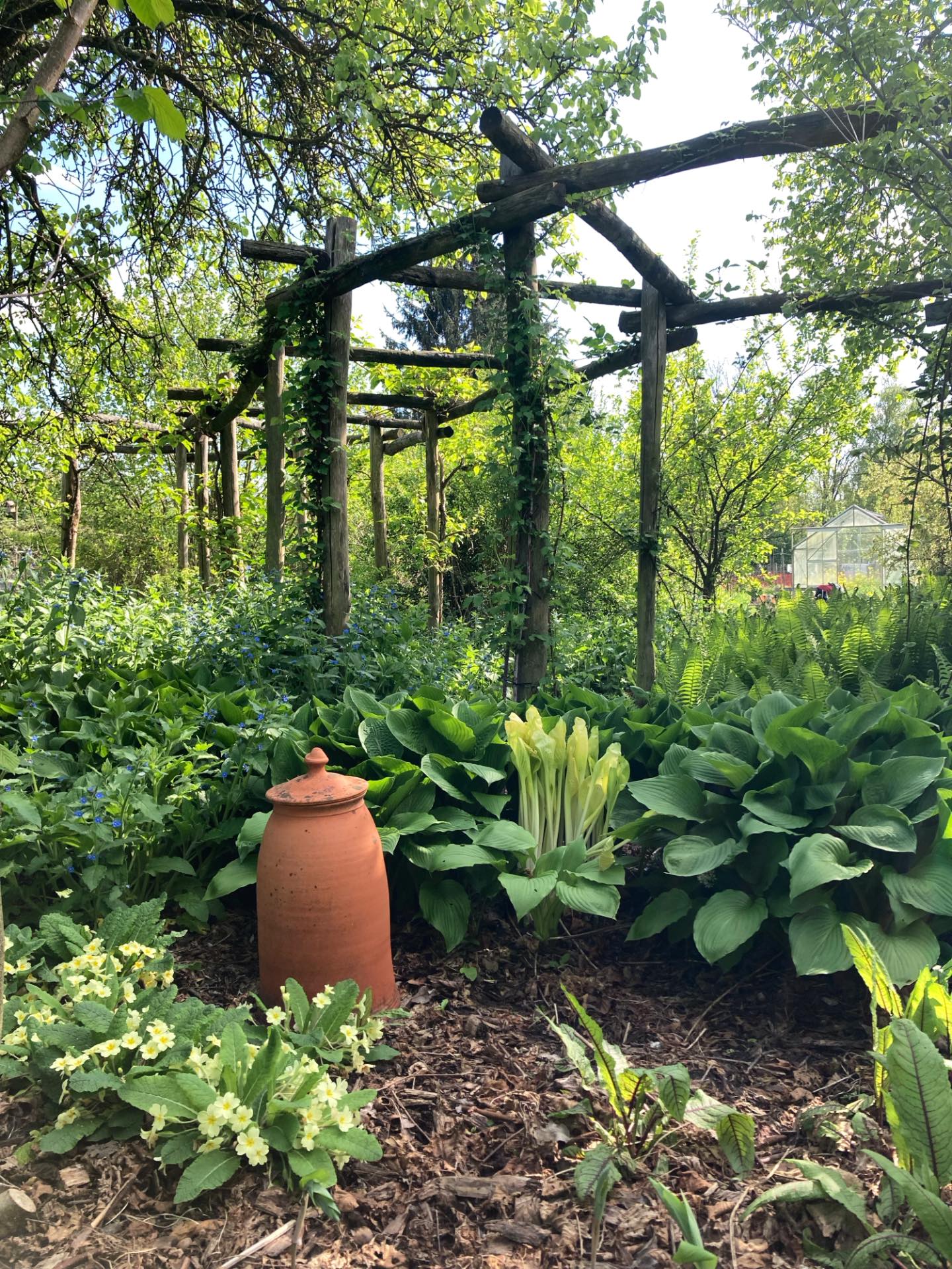 edible garden ideas