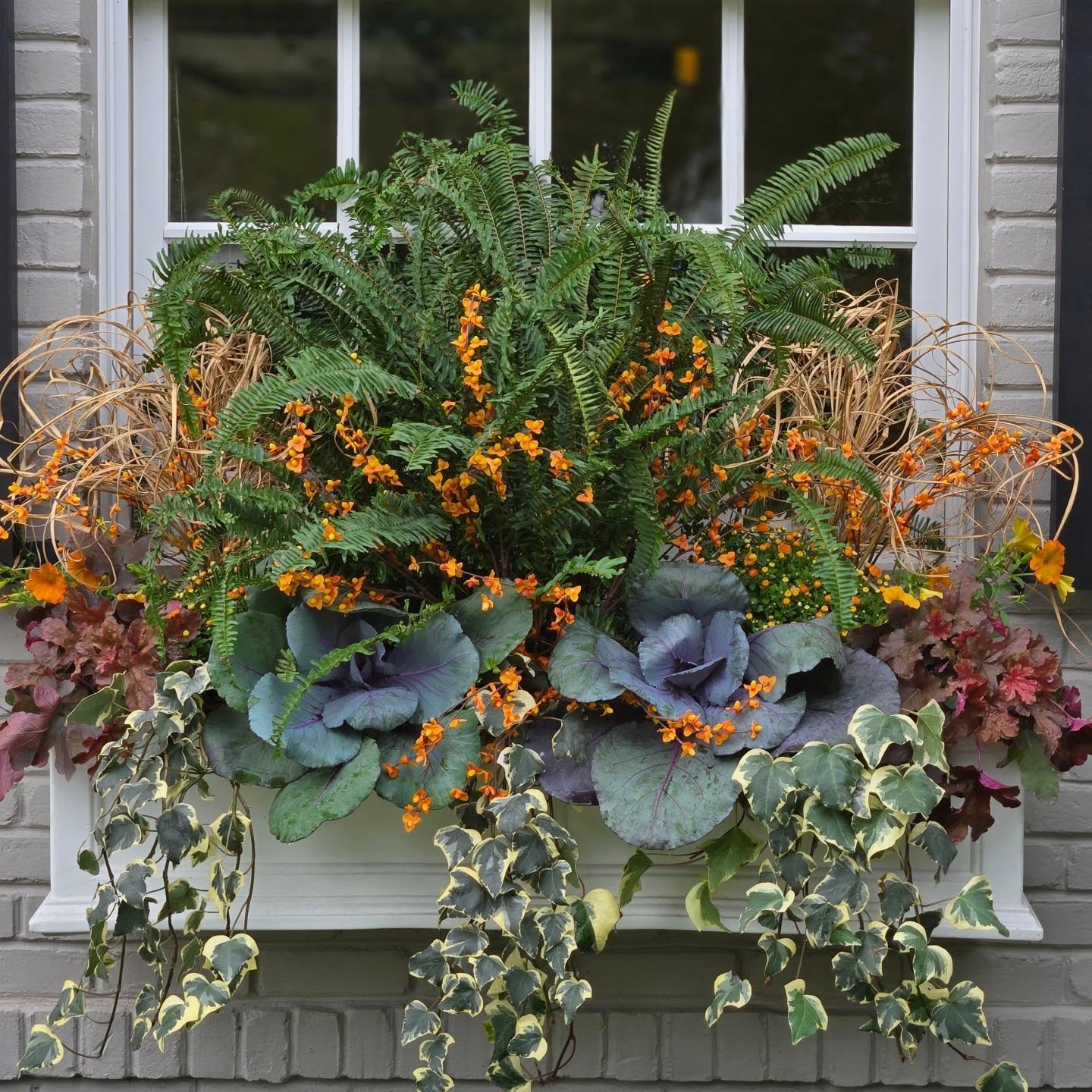 window box ideas