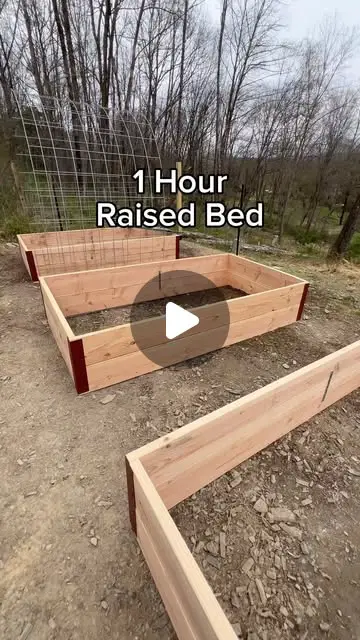 raised bed garden ideas