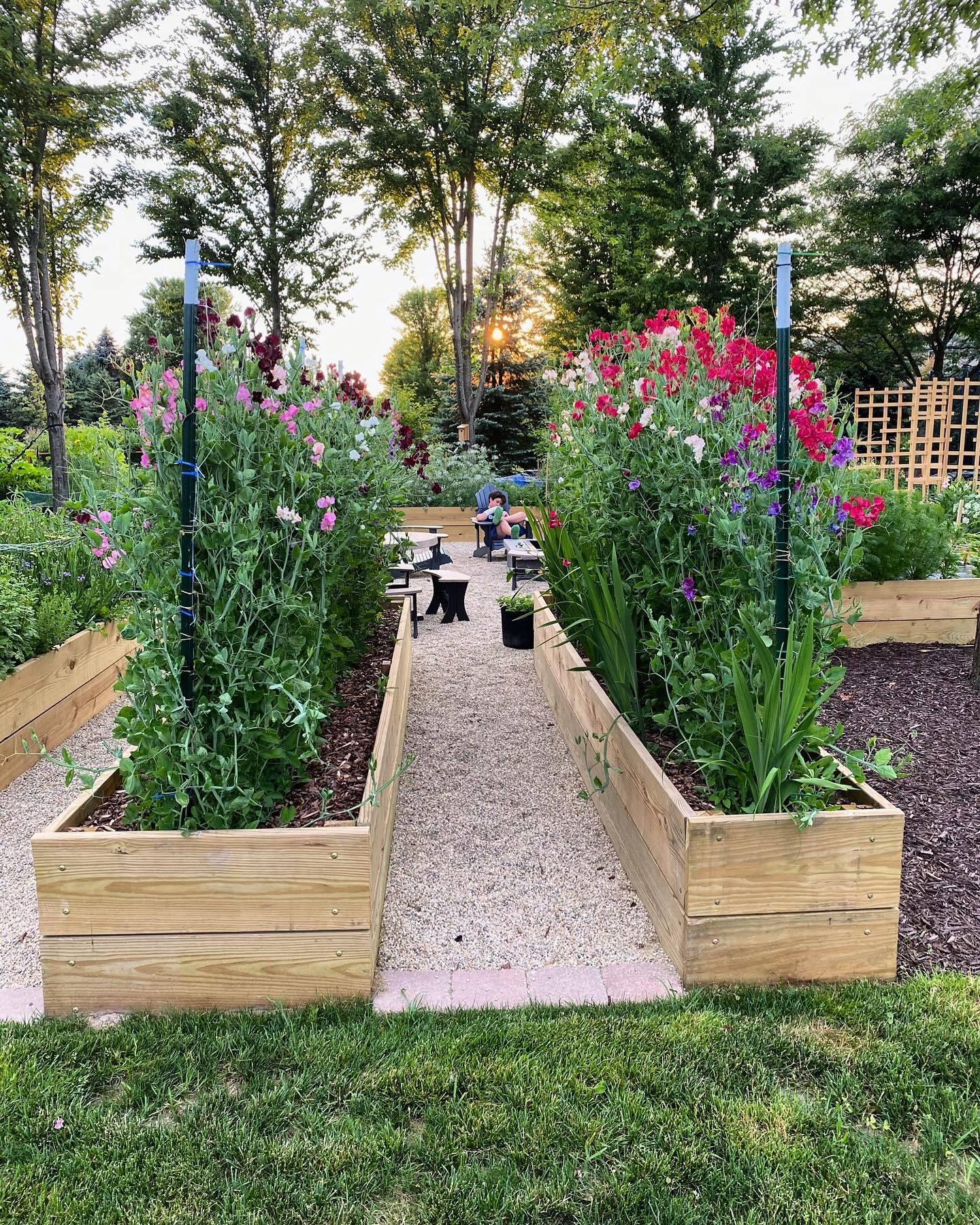 cut flower garden ideas