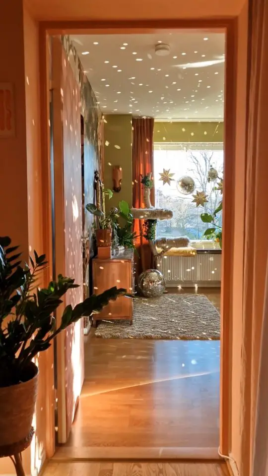 feminine apartment decor
