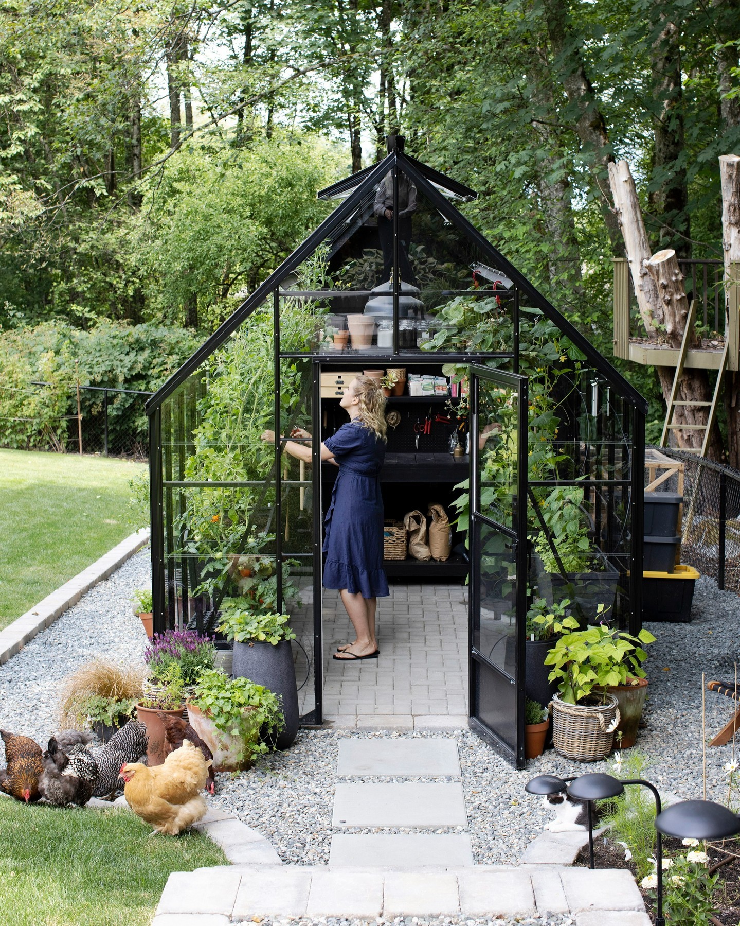 garden greenhouse ideas