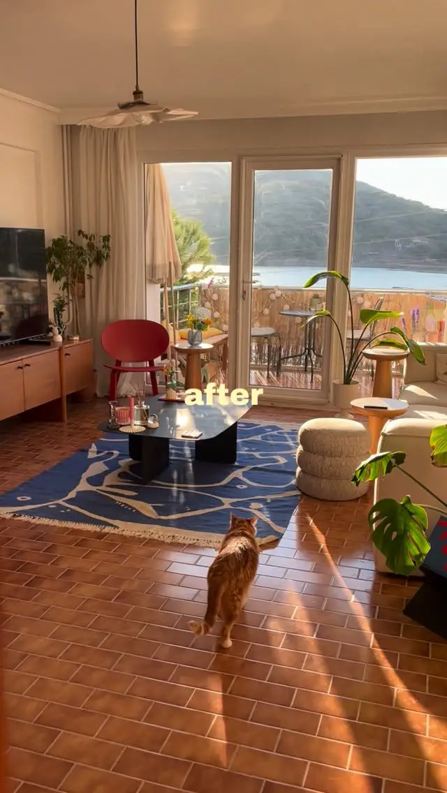 apartment before and after