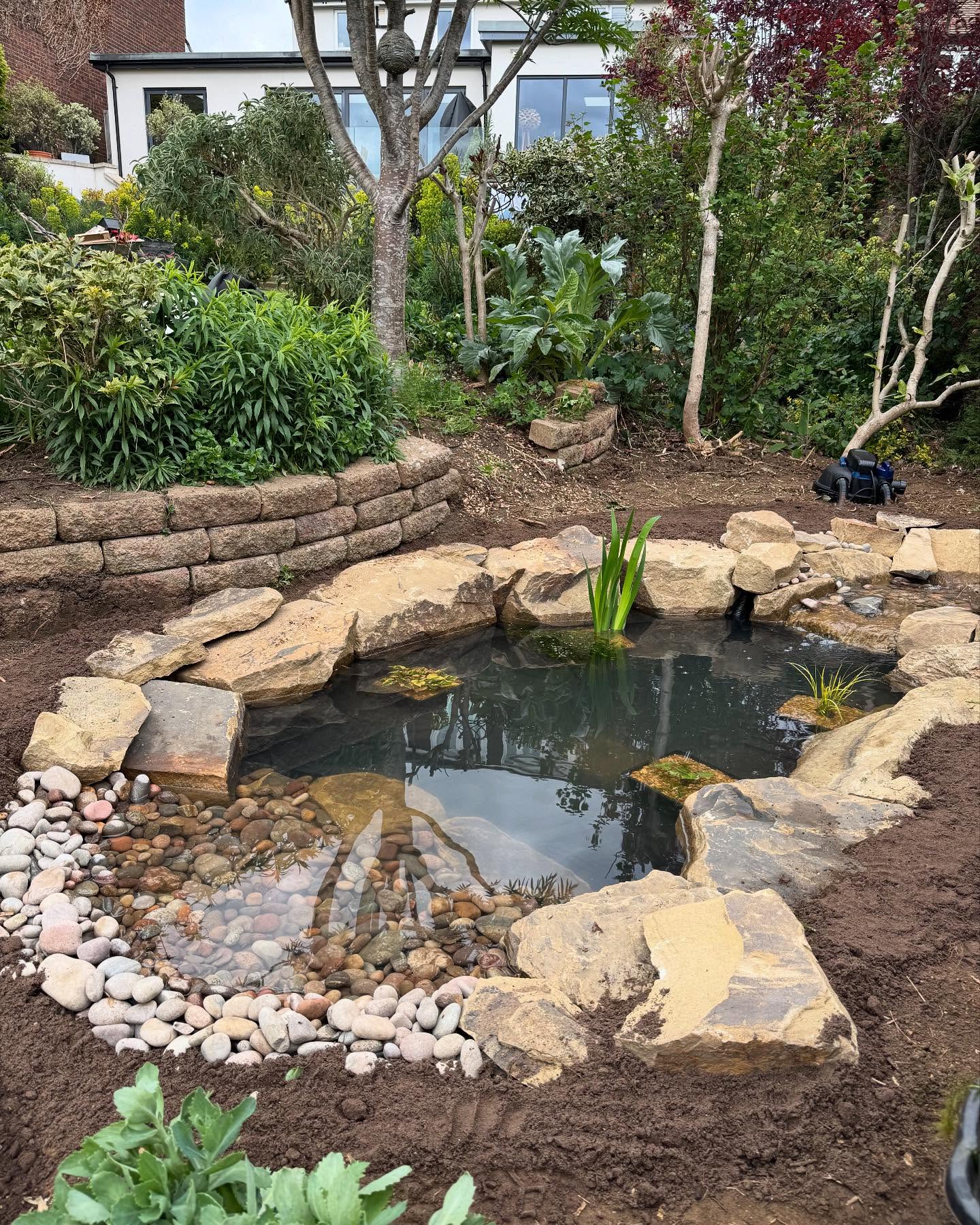 garden pond ideas