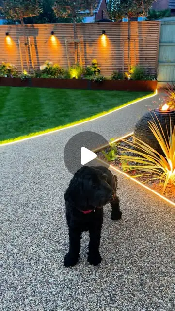 garden lighting ideas