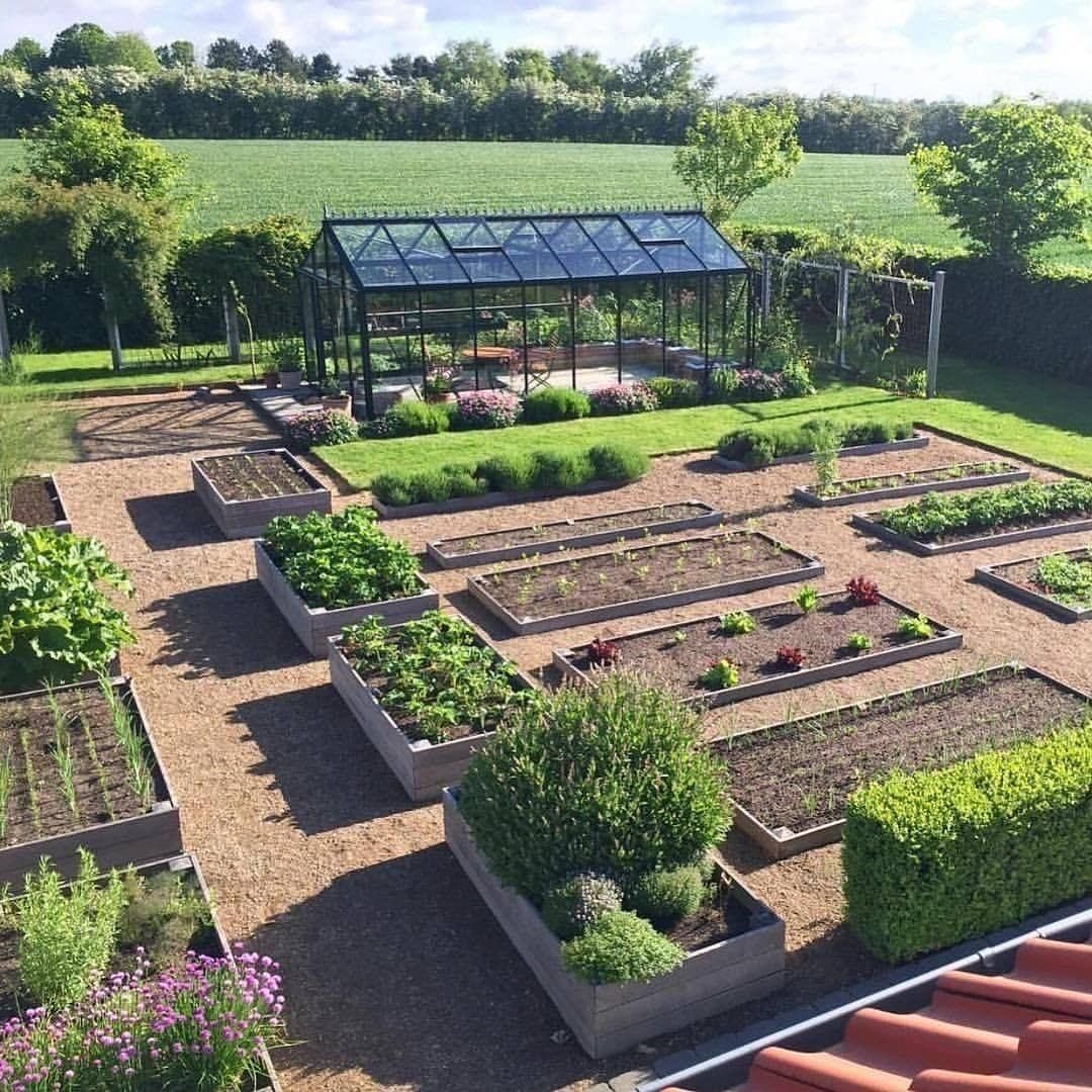 vegetable garden layout