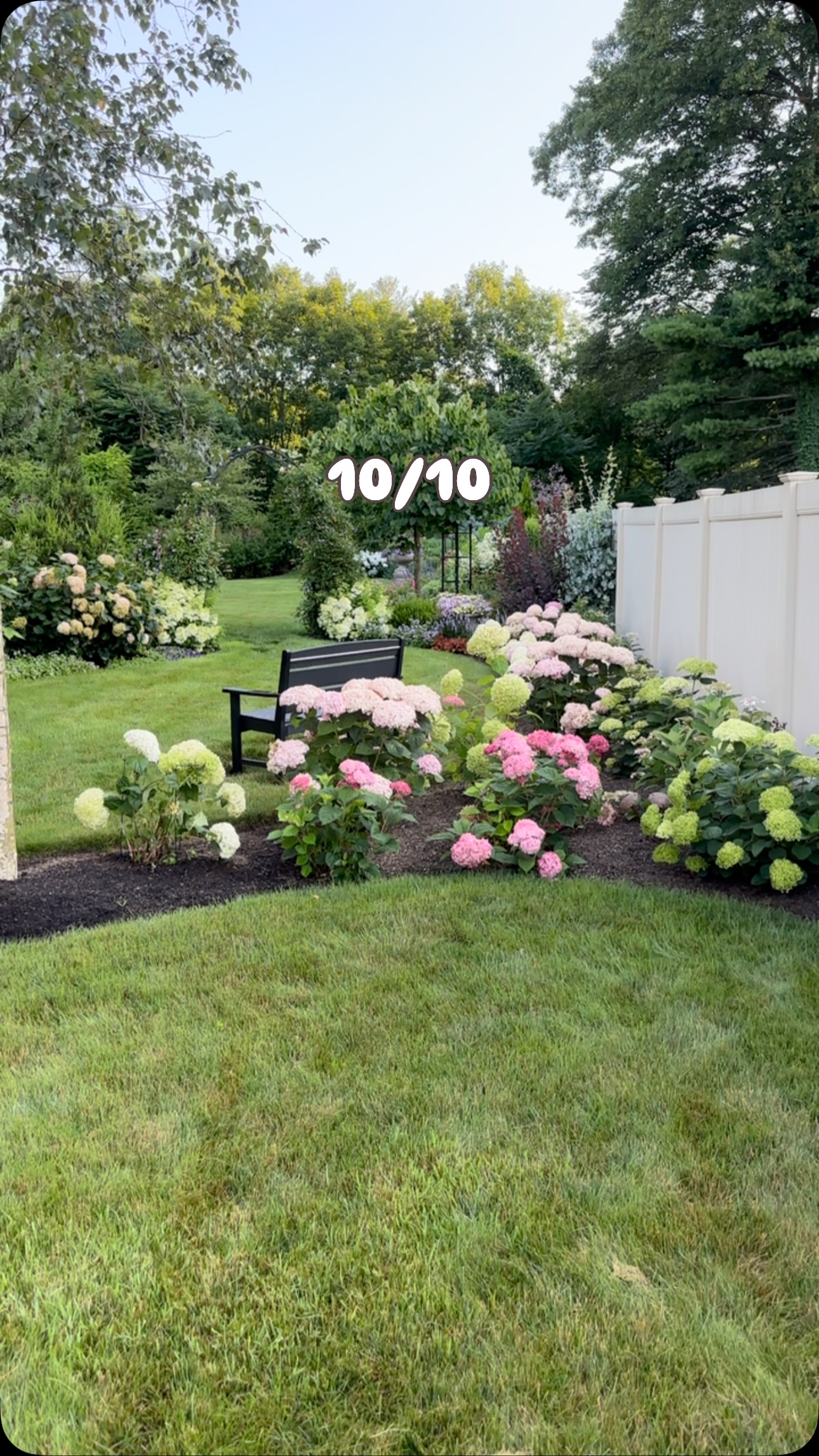 flower bed ideas