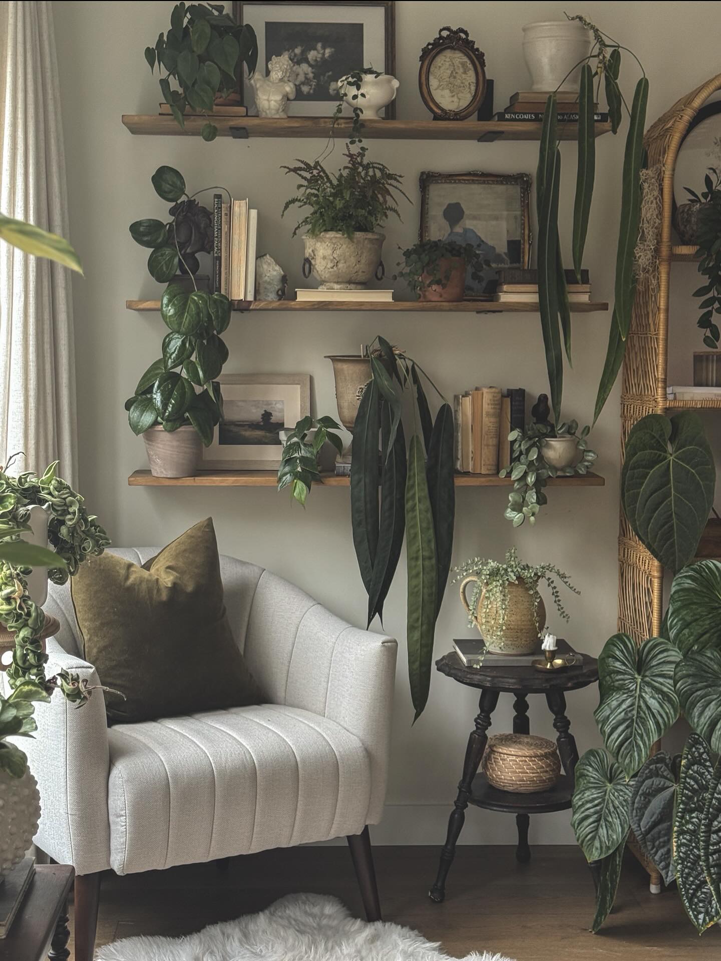houseplant decor ideas