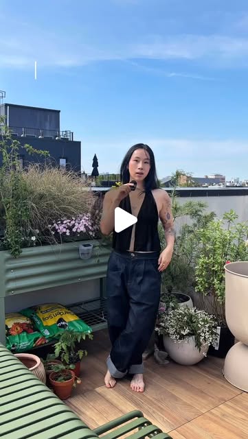 rooftop garden ideas