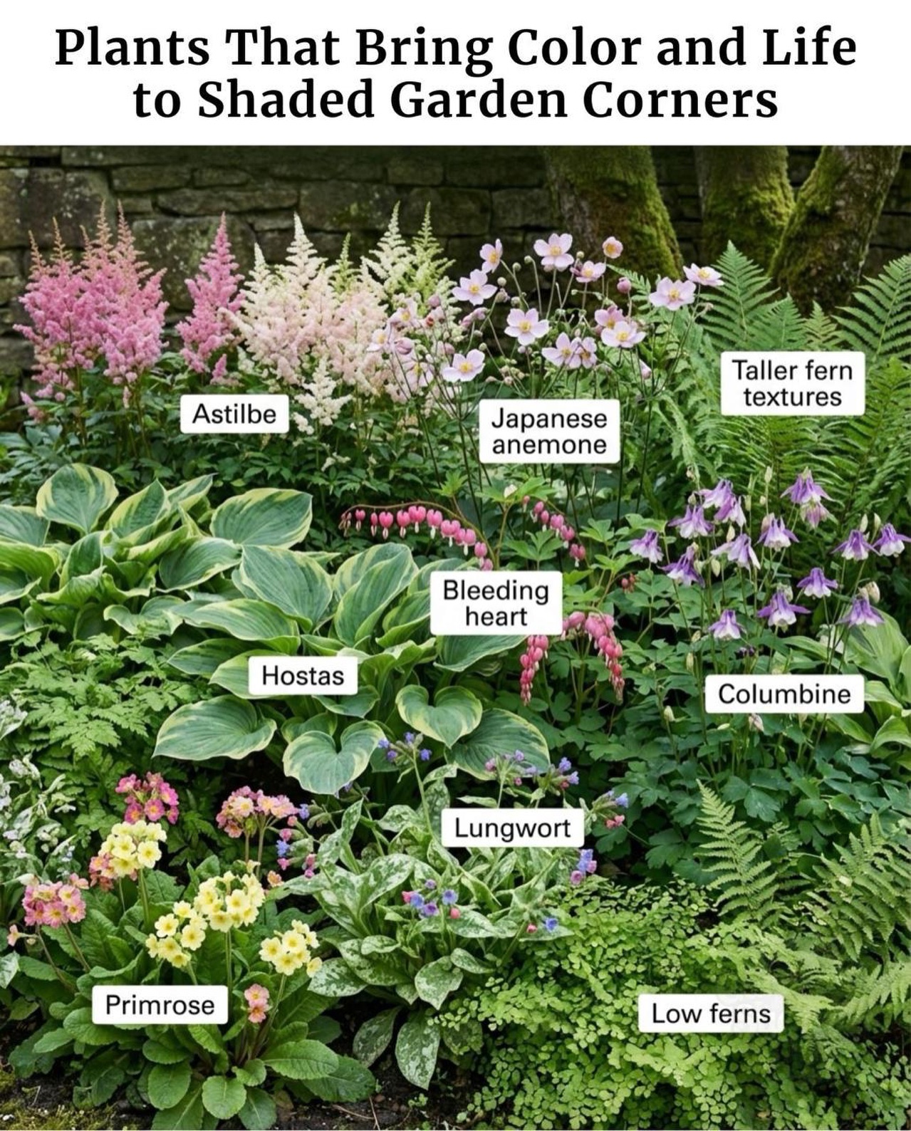 shade garden ideas