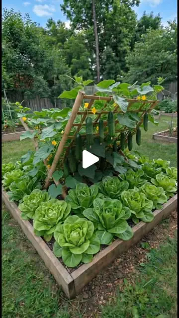 raised bed garden ideas