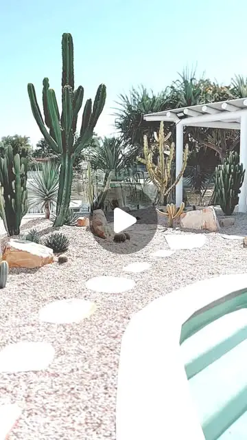 cactus garden ideas