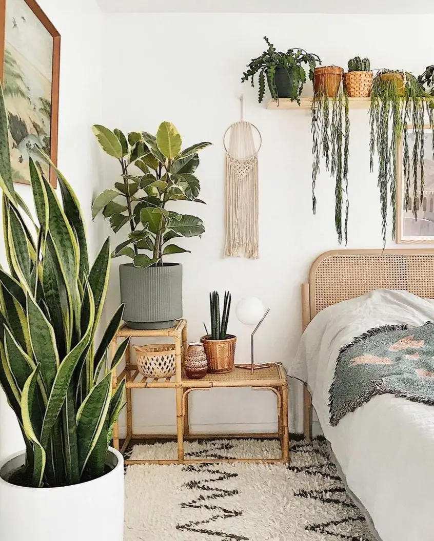 bedroom plant decor