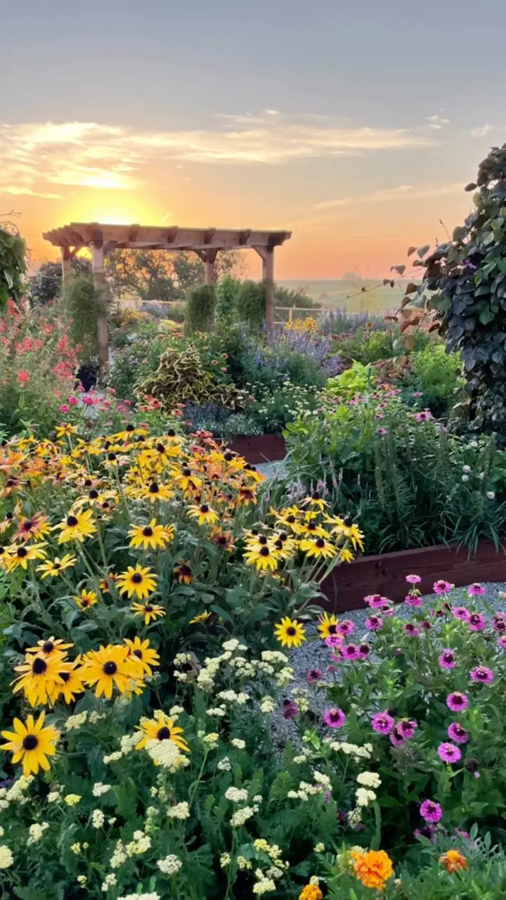 flower bed ideas