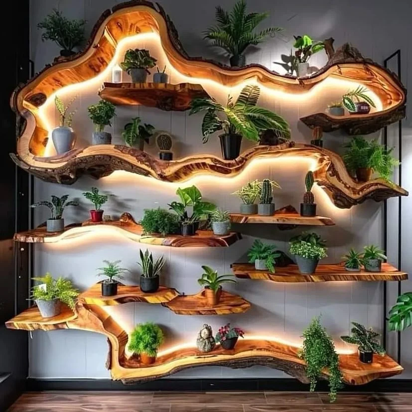 plant wall ideas