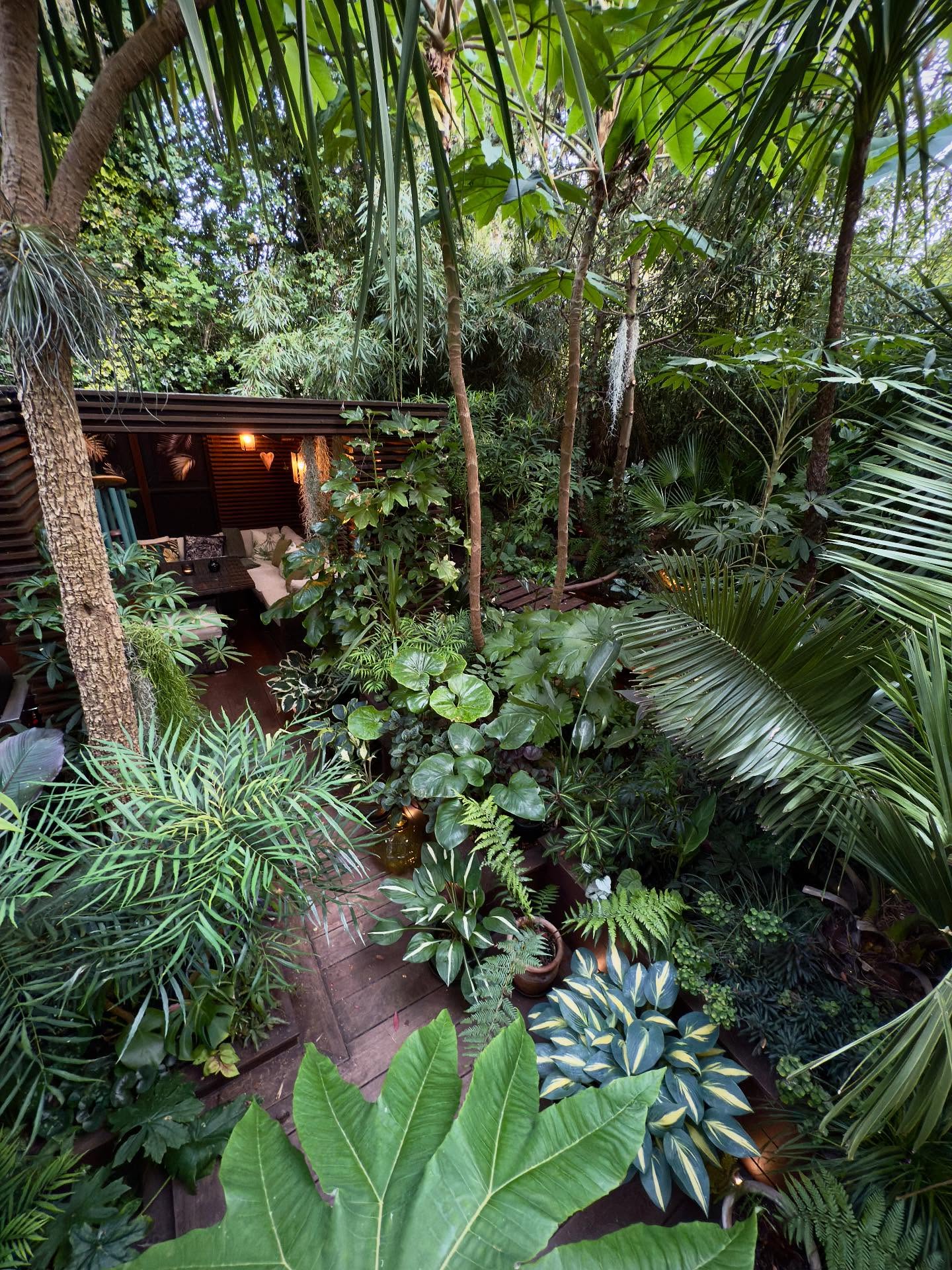 tropical garden ideas