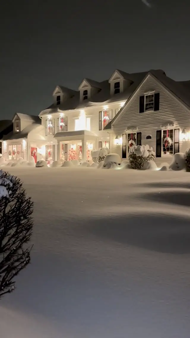 christmas apartment decor
