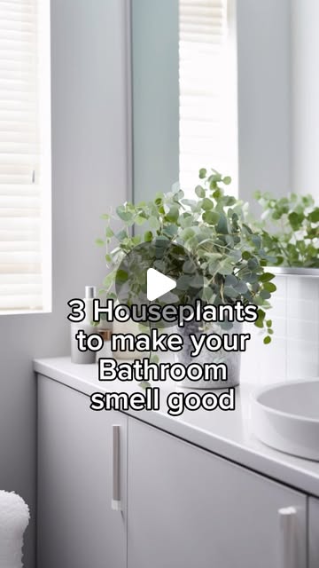 18 Fresh Bathroom Scent Ideas (With 18 Inspiring Images For A Spa-Like Vibe) 2 bathroom scent ideas