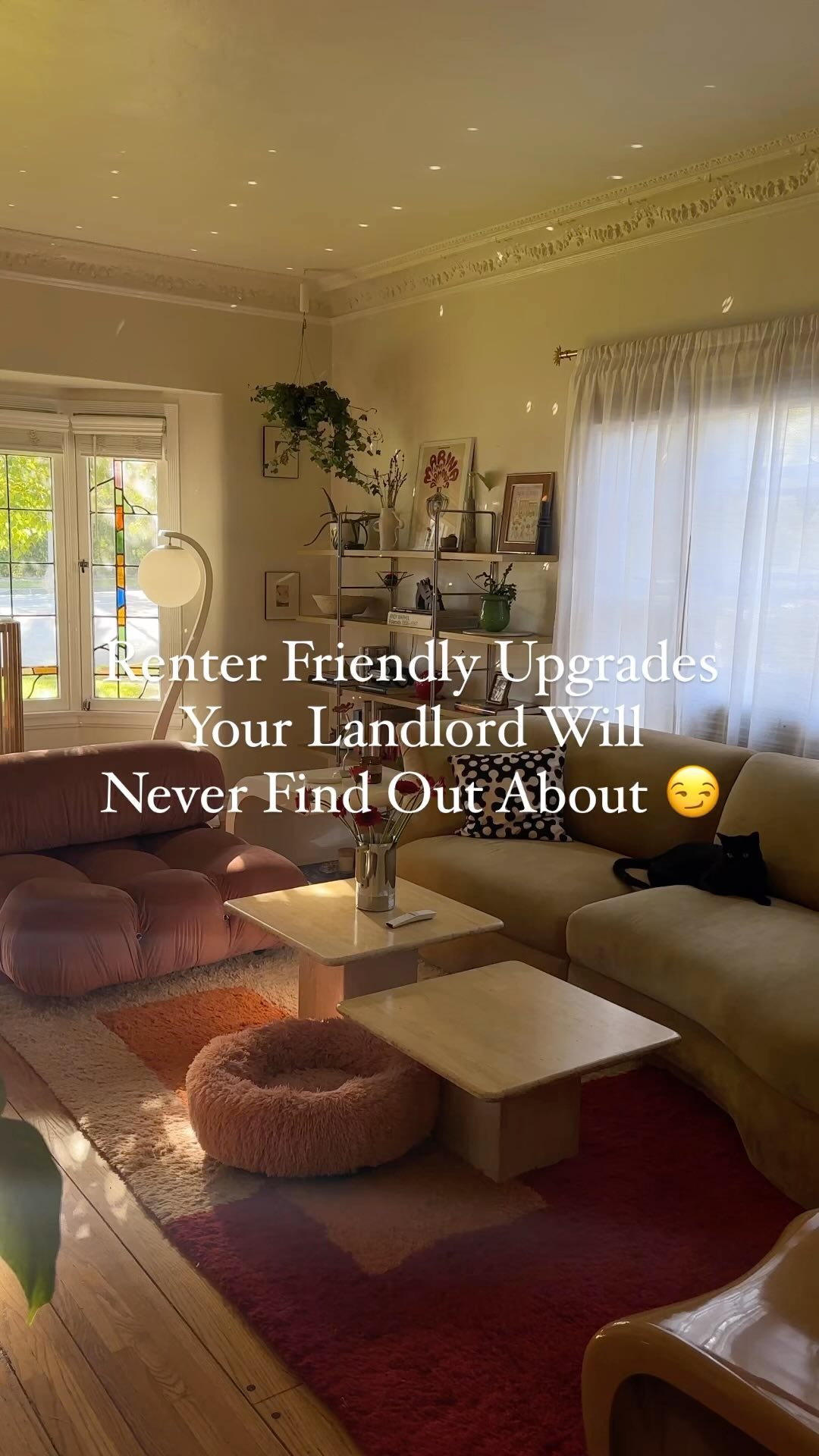 renter friendly apartment decor