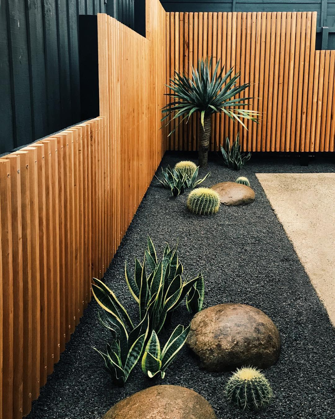 cactus garden ideas
