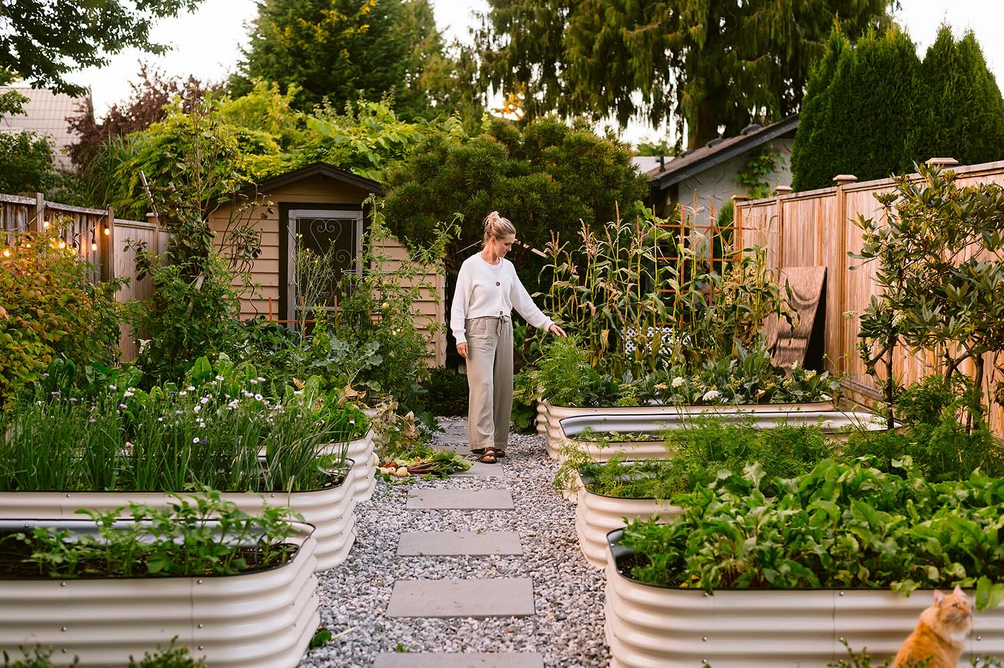 raised bed garden ideas