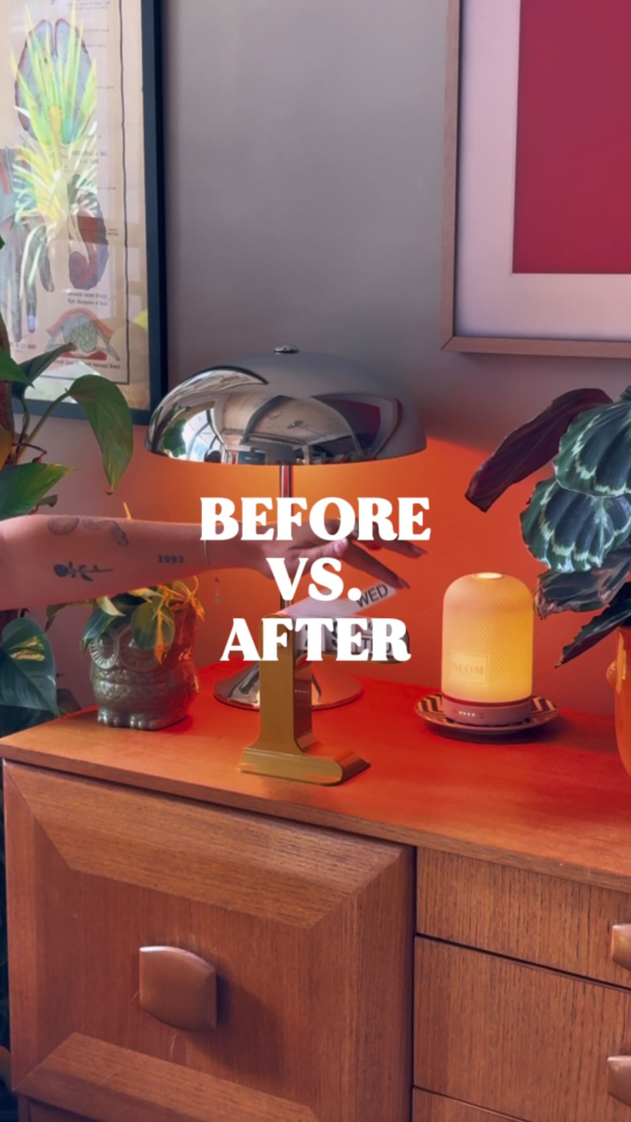apartment before and after
