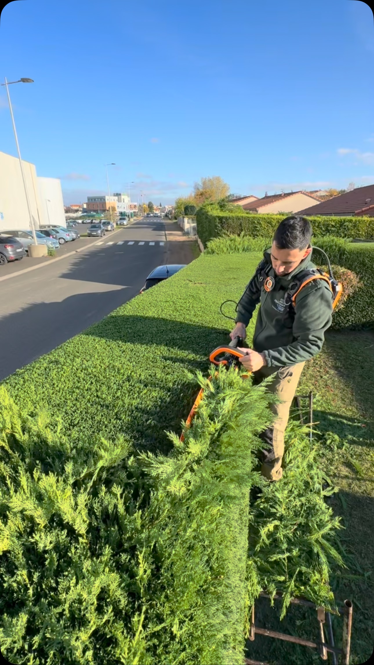 urban garden ideas
