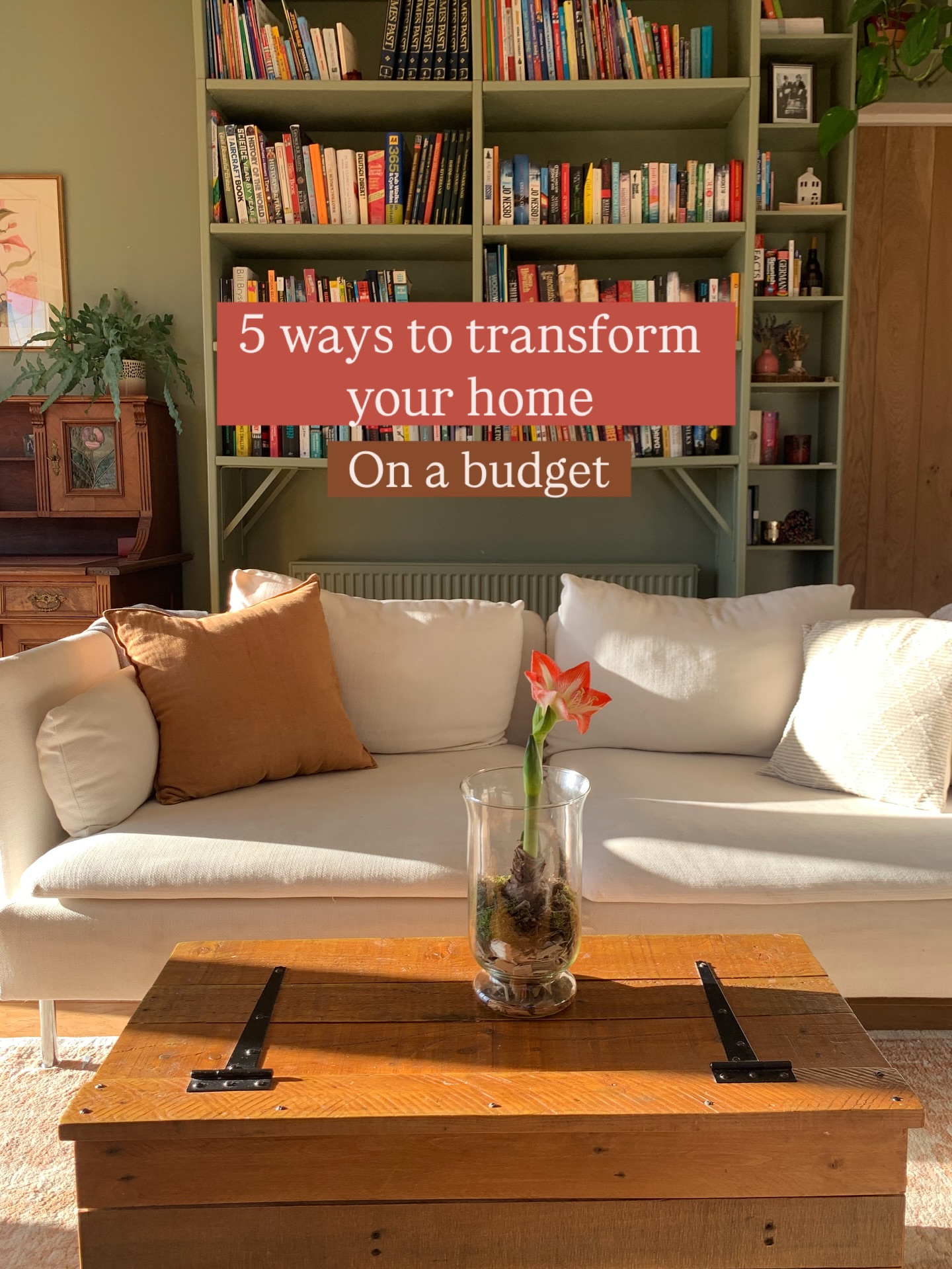 budget apartment decor