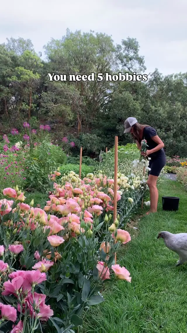 spring garden ideas
