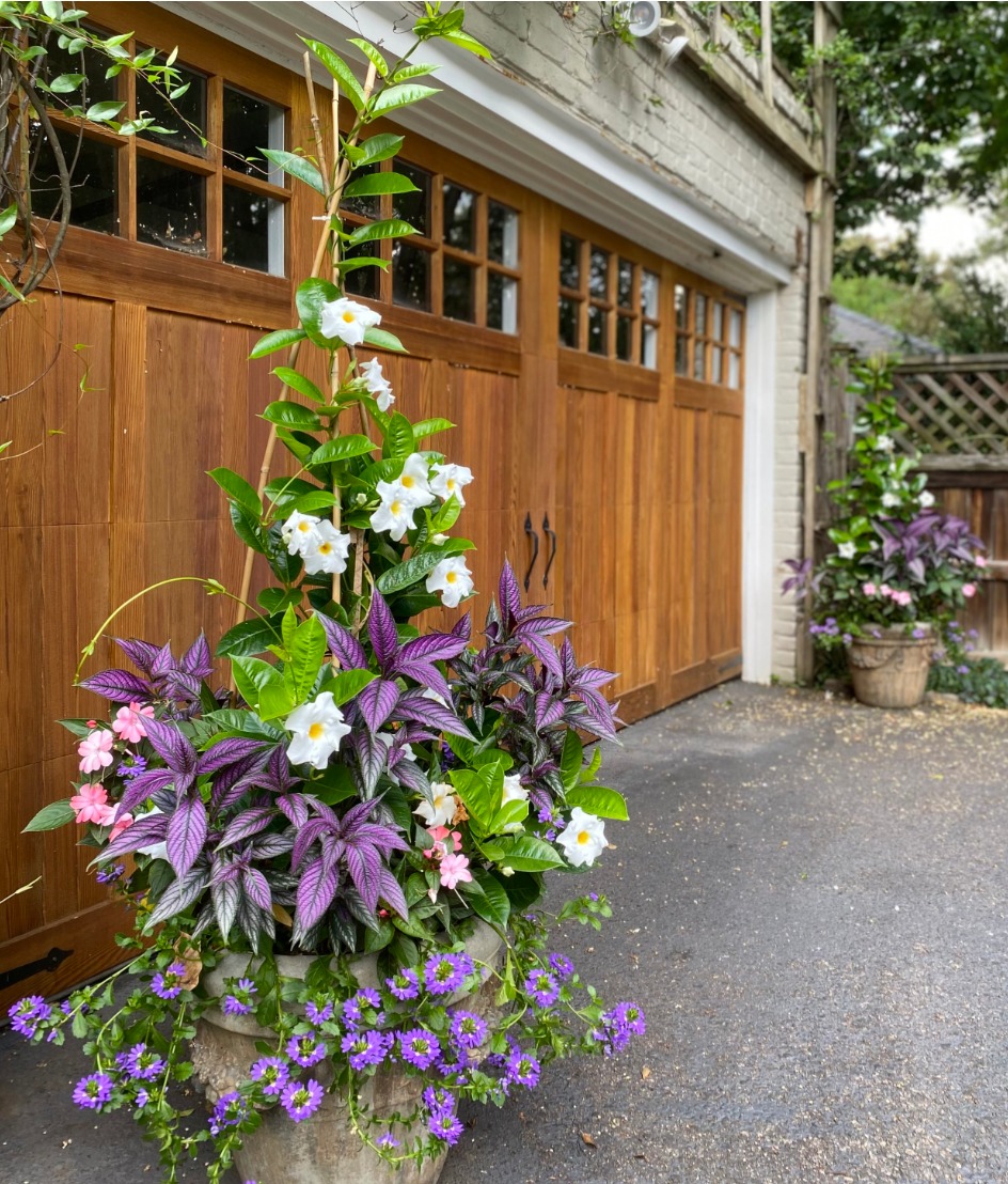 container gardening ideas