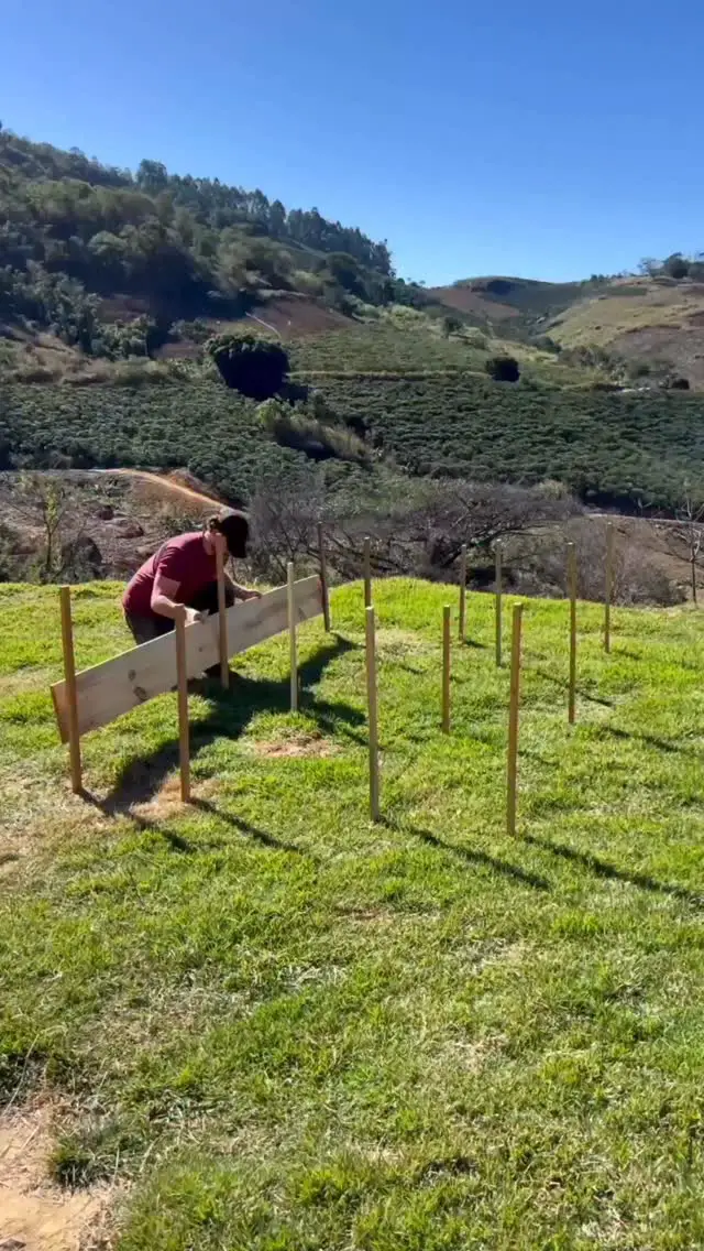 raised bed garden ideas