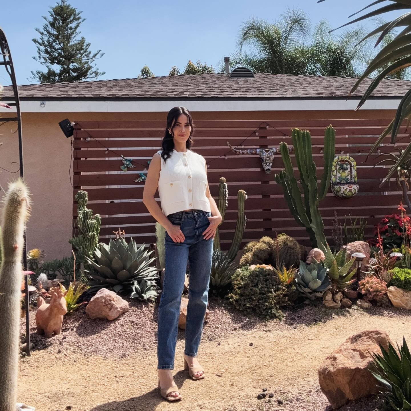 cactus garden ideas