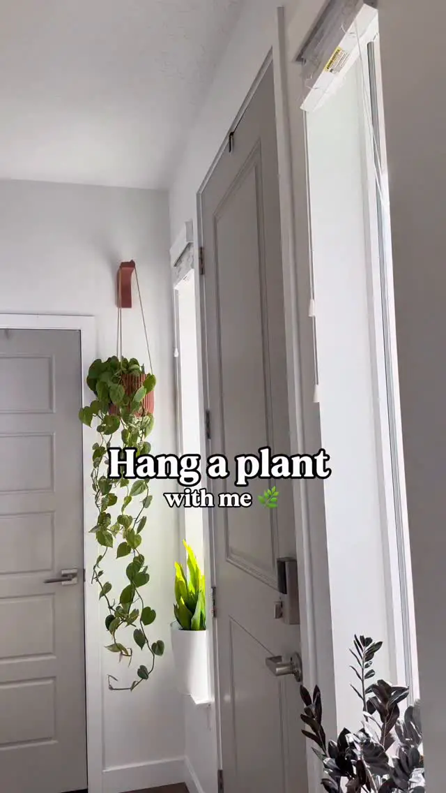 bedroom plant decor