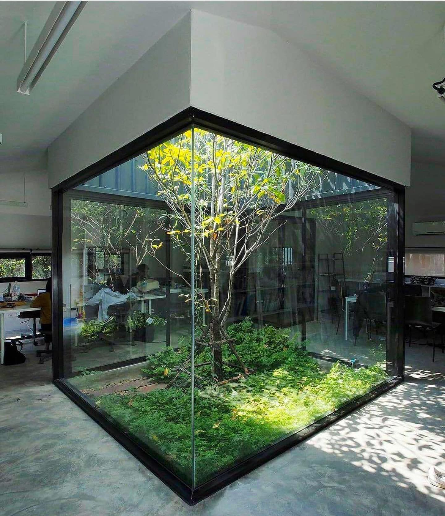 indoor garden ideas