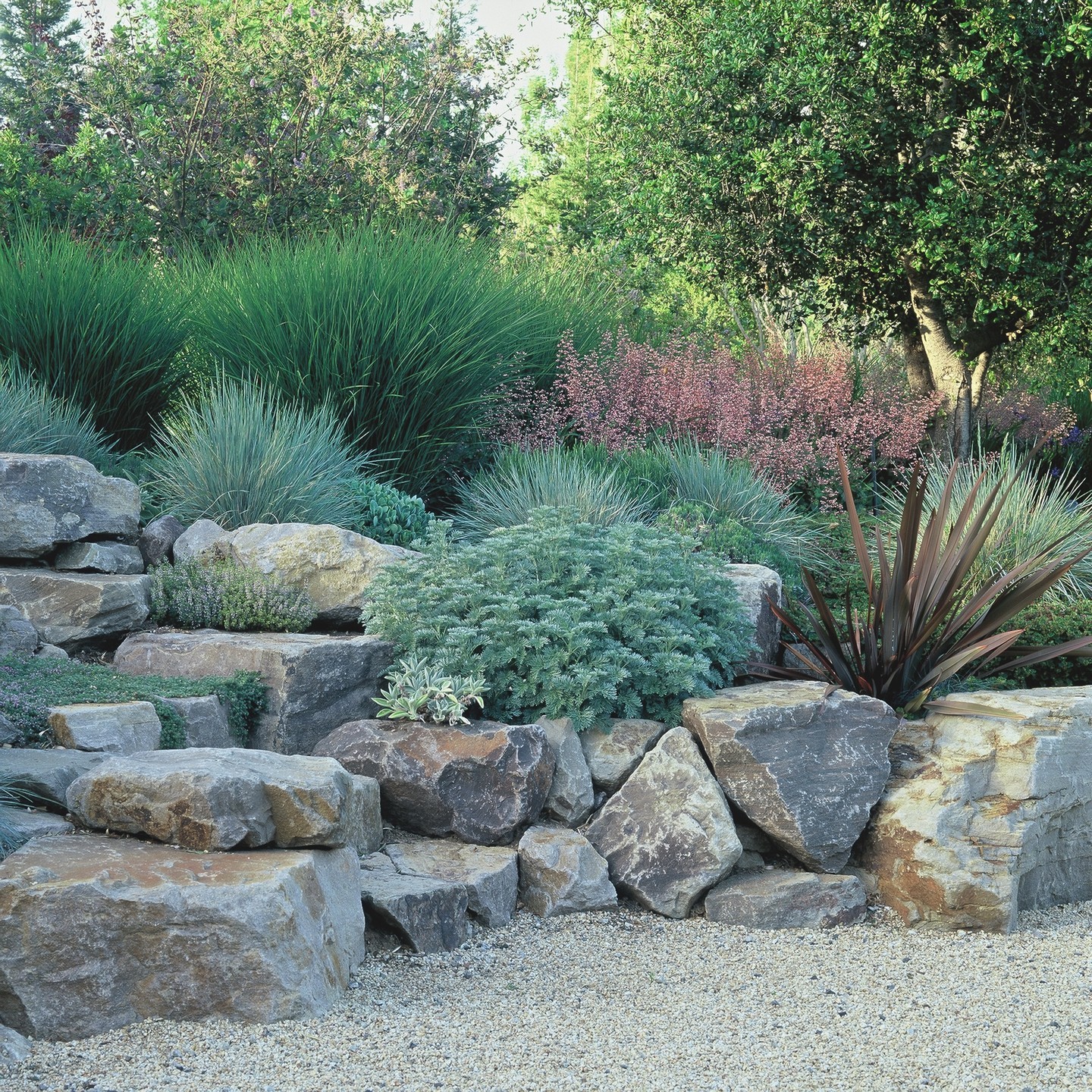 rock garden ideas