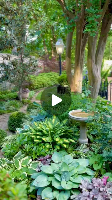 shade garden ideas