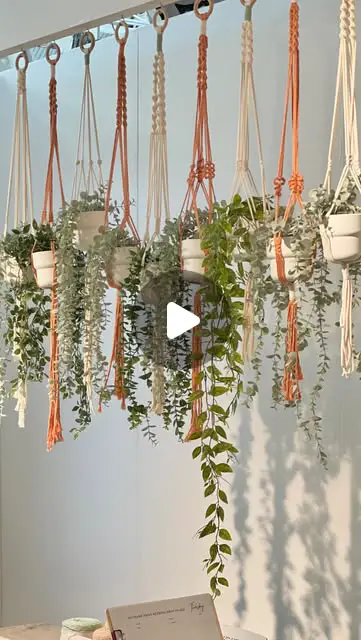 macrame plant hanger ideas