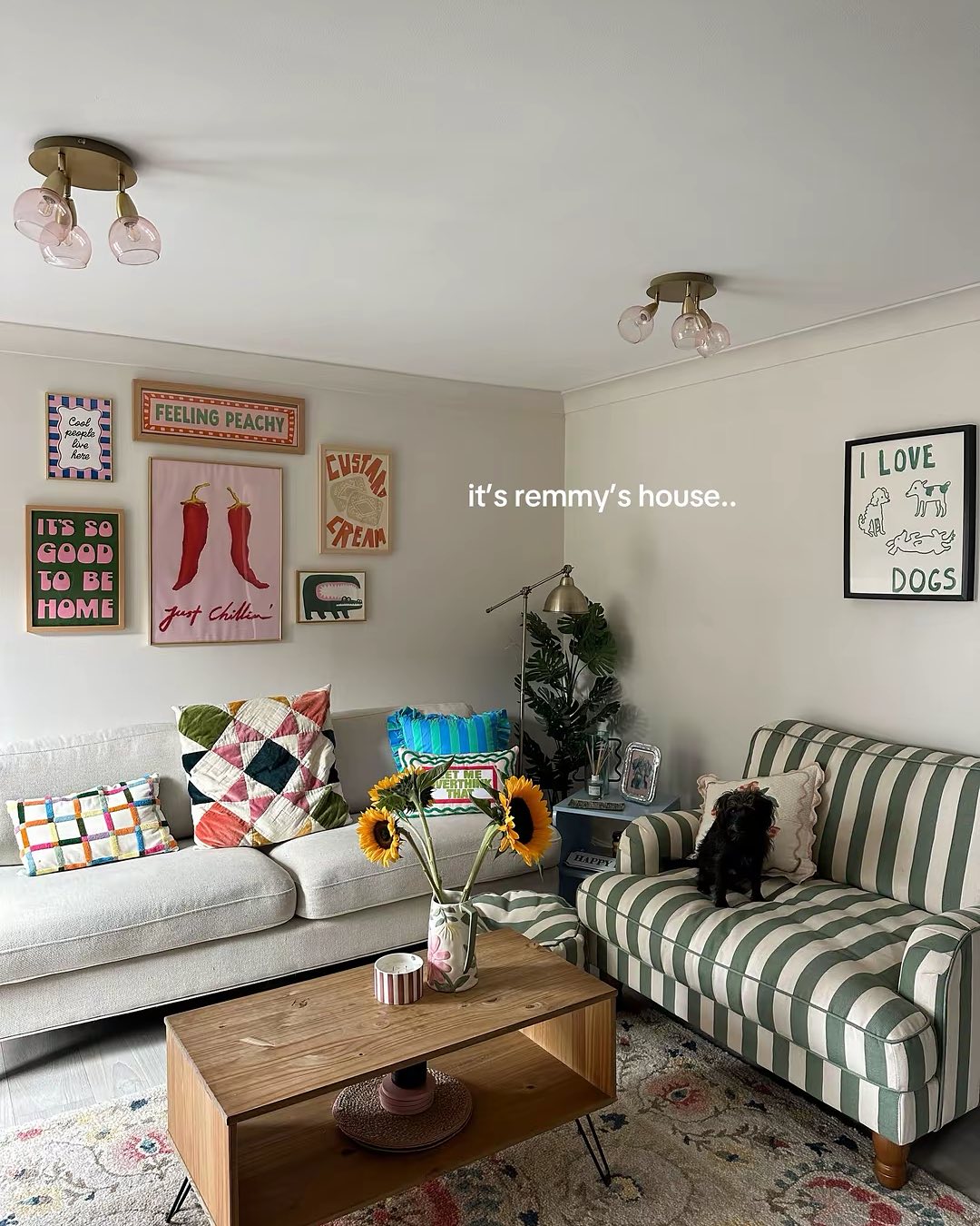 pet friendly apartment decor