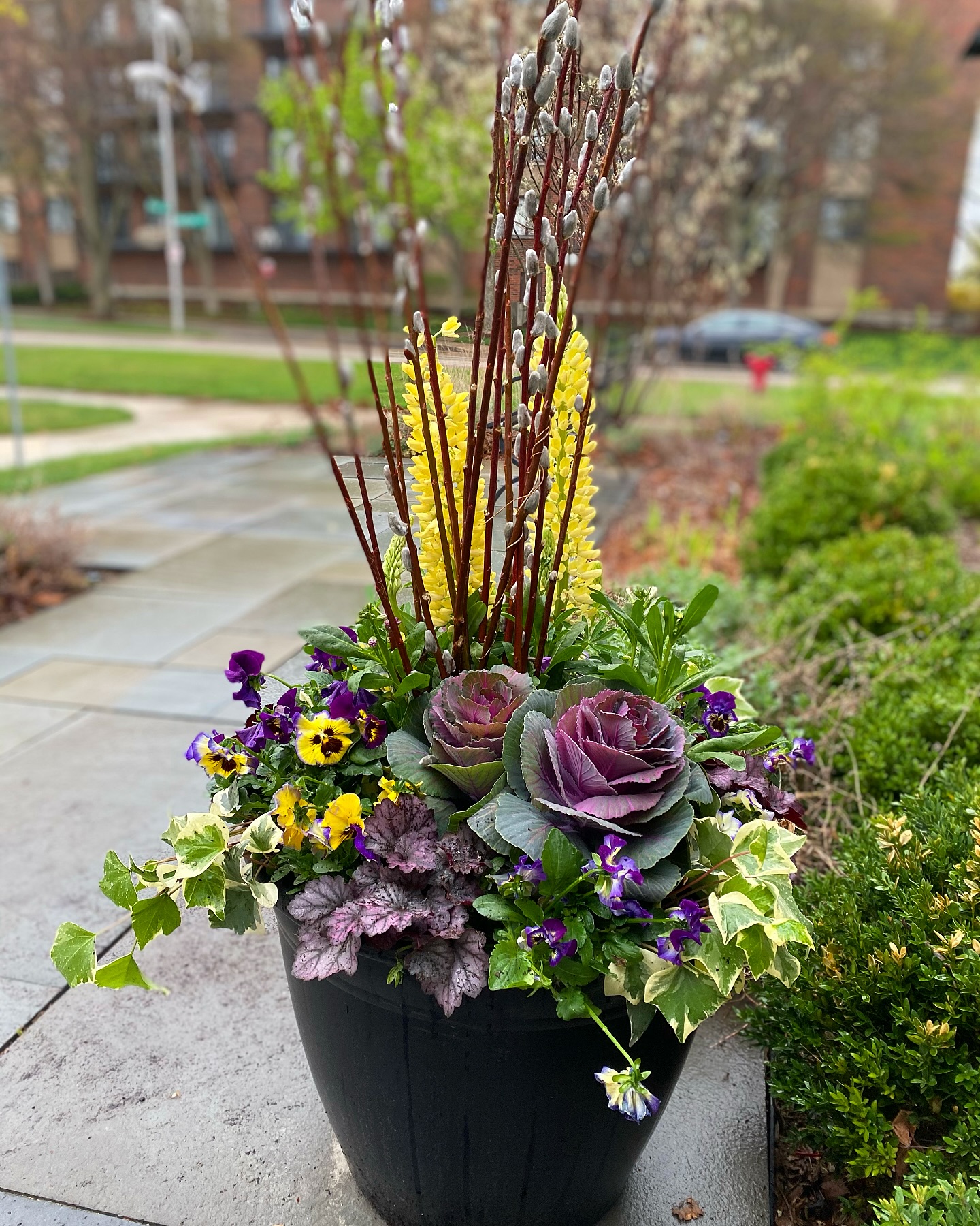 container gardening ideas