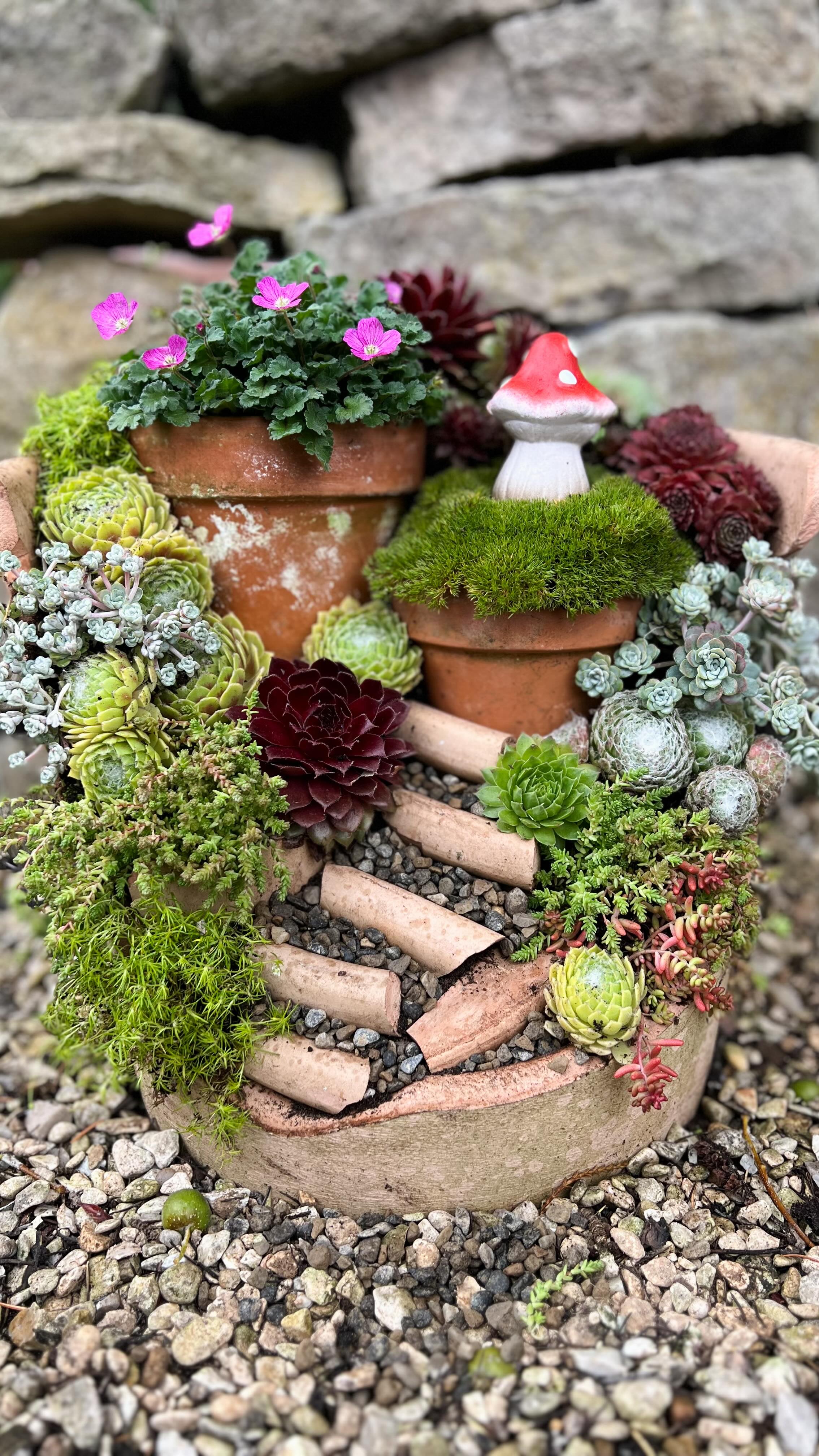 fairy garden ideas