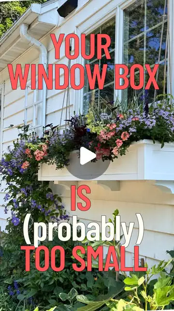 window box ideas