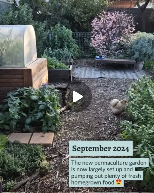 small space gardening