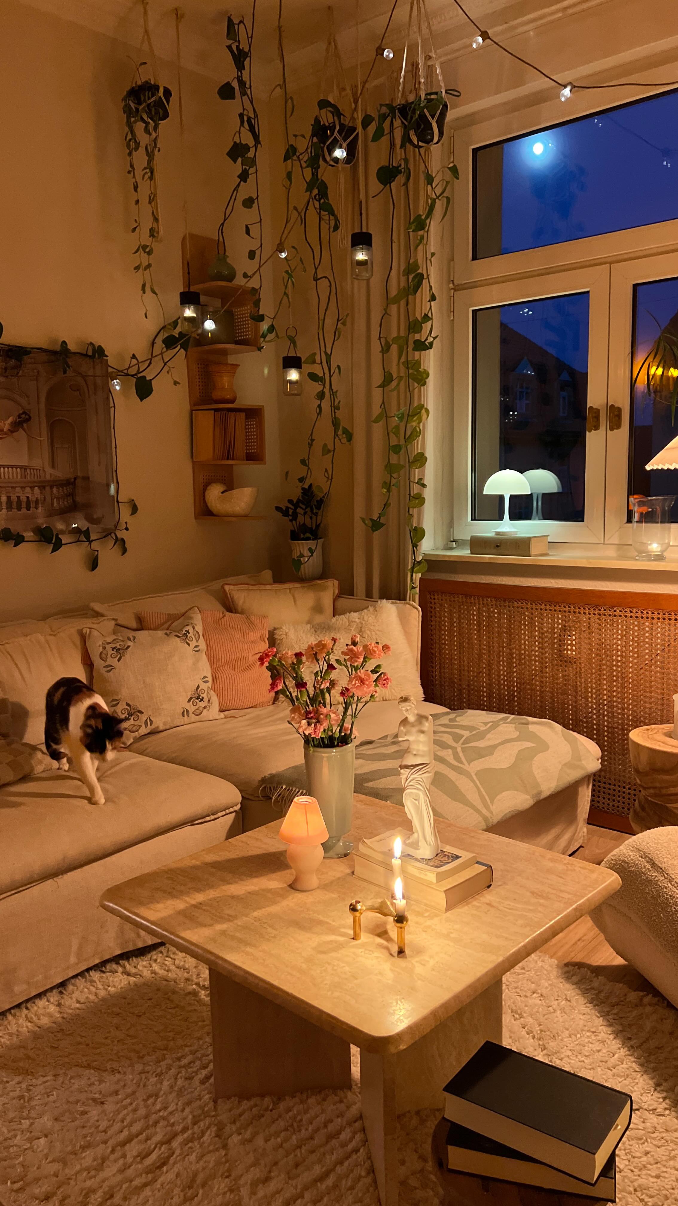 aesthetic apartment decor